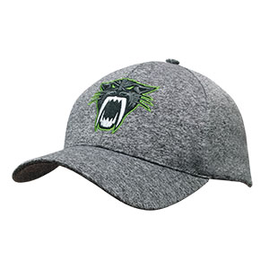 Cationic Sports Jersey Cap